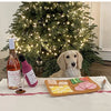 Tapete de Sniffing Interactivo para Perros