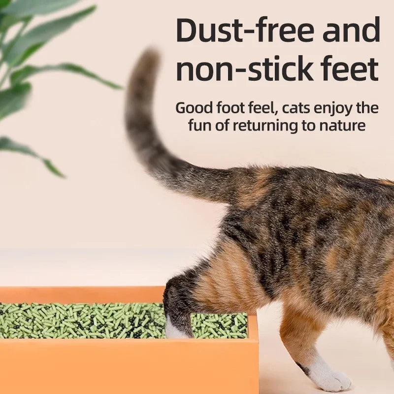 Katzenstreu-Deodorant-Kügelchen - 6 Aromatische Düfte