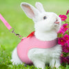 Padded Comfort Leash for Small Pets and Rodents
