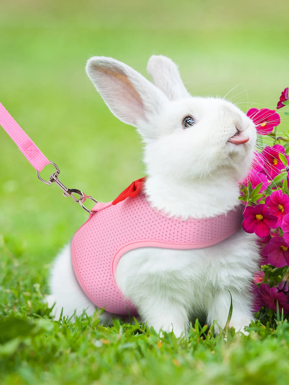 Padded Comfort Leash for Small Pets and Rodents