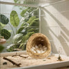Natural Bird Nesting Material Fiber Blend for Canaries, Finches & Parrots