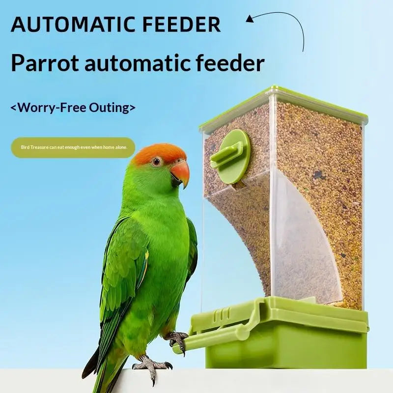 A green parrot is feeding from an automatic bird feeder with a transparent window and a green feeding tray.