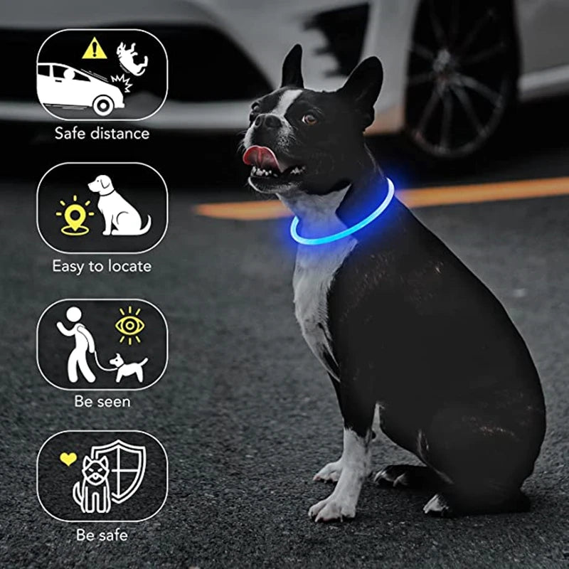 A black and white dog wearing a blue LED collar with various safety features highlighted.