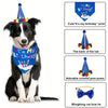 Ein schwarz-weißes Hundespielkleid mit Geburtstagsdruck und bunten Pompons