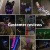 Wiederaufladbare LED-Hundehalsband für Nachtsicherheit