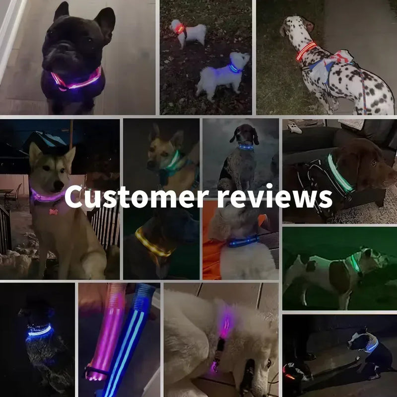 Wiederaufladbare LED-Hundehalsband für Nachtsicherheit