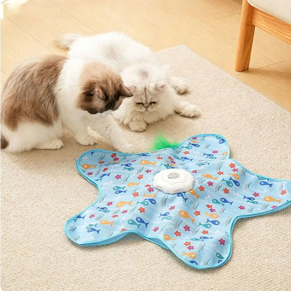 Interactive Hide-and-Seek Cat Toy with Feather Teaser