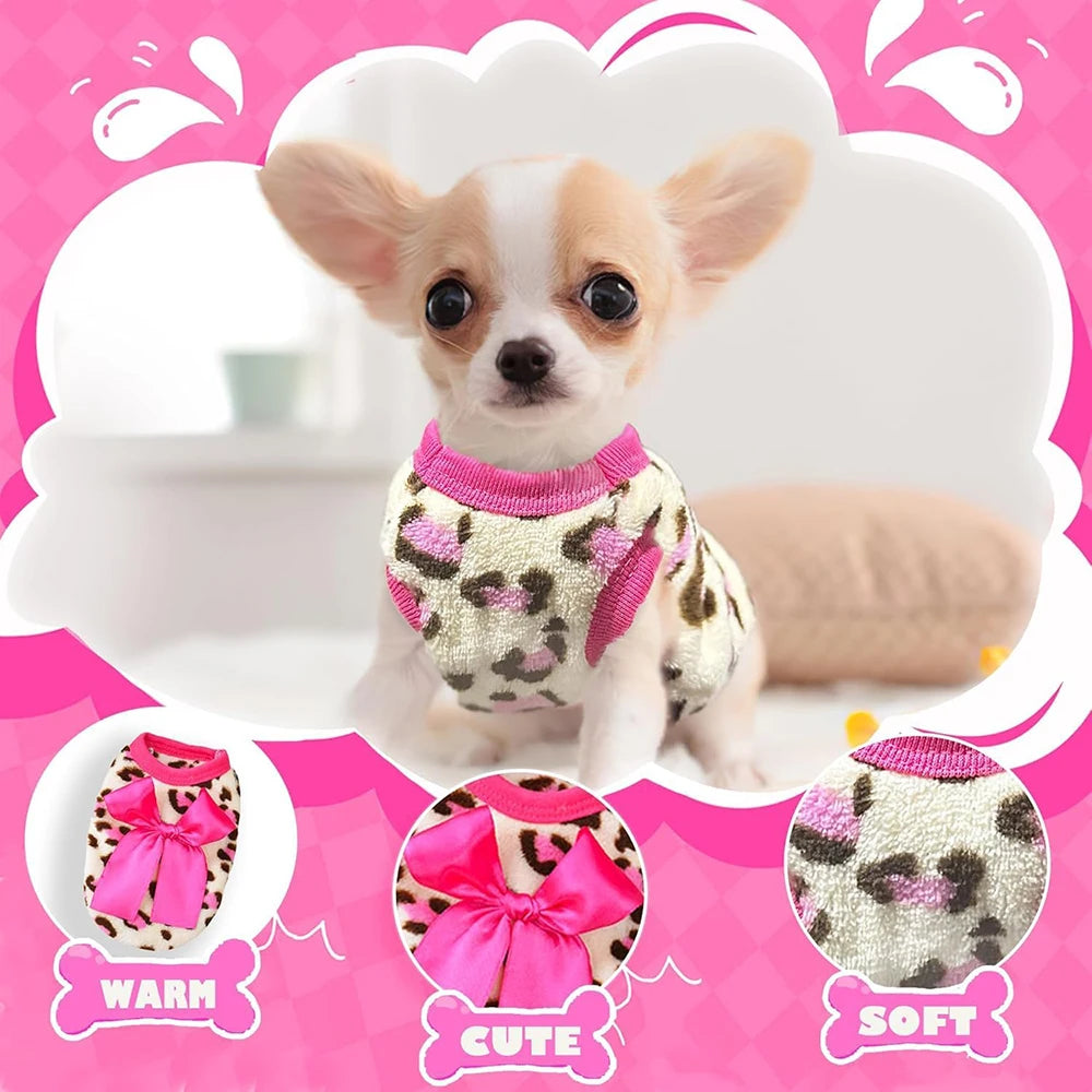 A small, light brown and white dog wearing a pink patterned knit sweater.