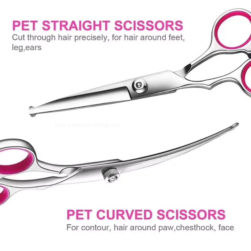 A pair of stainless steel pet straight scissors and curved scissors for grooming.