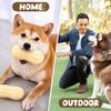 A fluffy Shiba Inu dog is shown chewing a peanut-shaped squeaky toy outdoors.