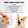 Zombie Mummy Dog Toy with 8 Squeaky Organs