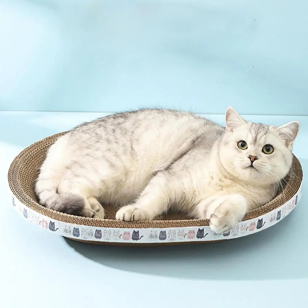 Un chat gris clair et duveteux se relaxe dans un bol à griffer en carton rond.