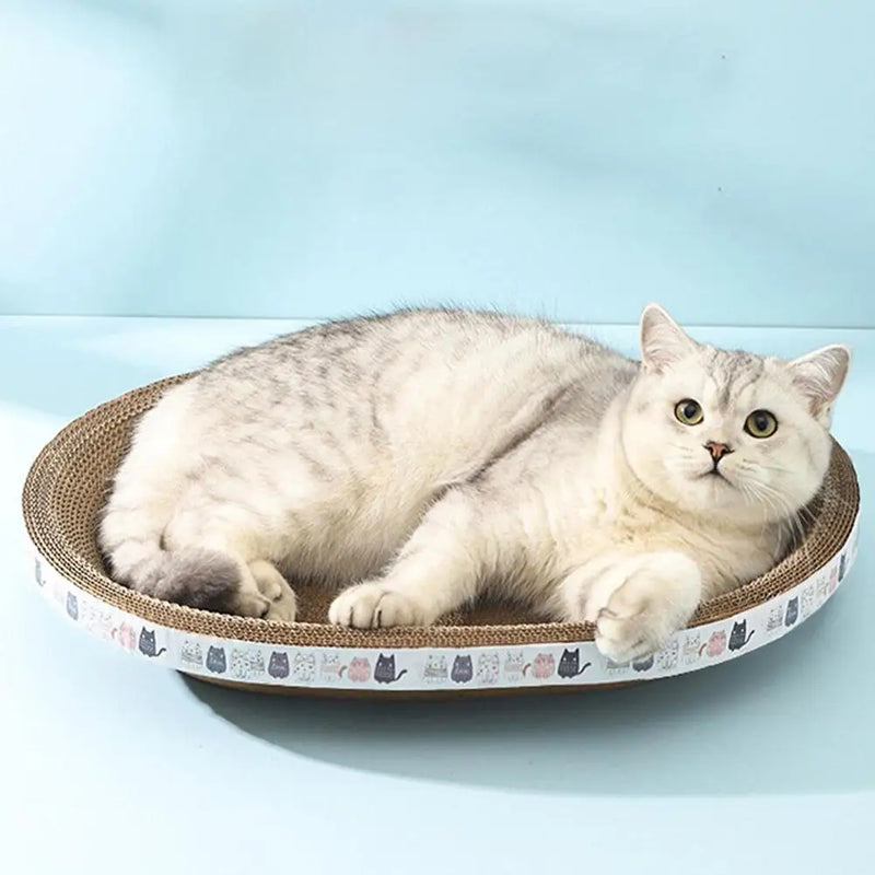 Grattoir pour chat en carton ondulé rond