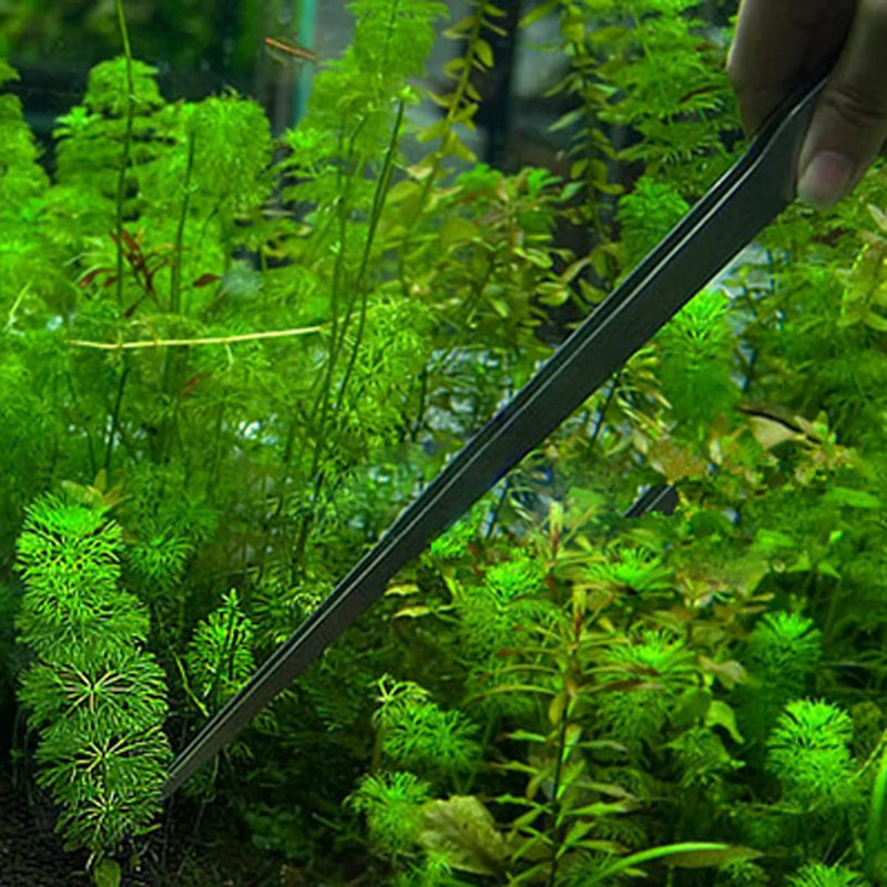 Edelstahl-Aquarien-Pflanzzange
