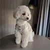 A fluffy white dog wearing a knitted vest with light pink stripes, sitting on a table.