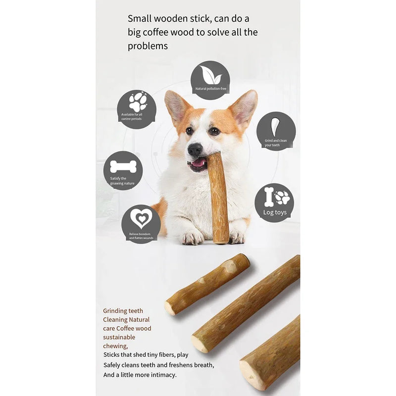 Jouet à Mâcher en Bois de Café Naturel pour Chiens