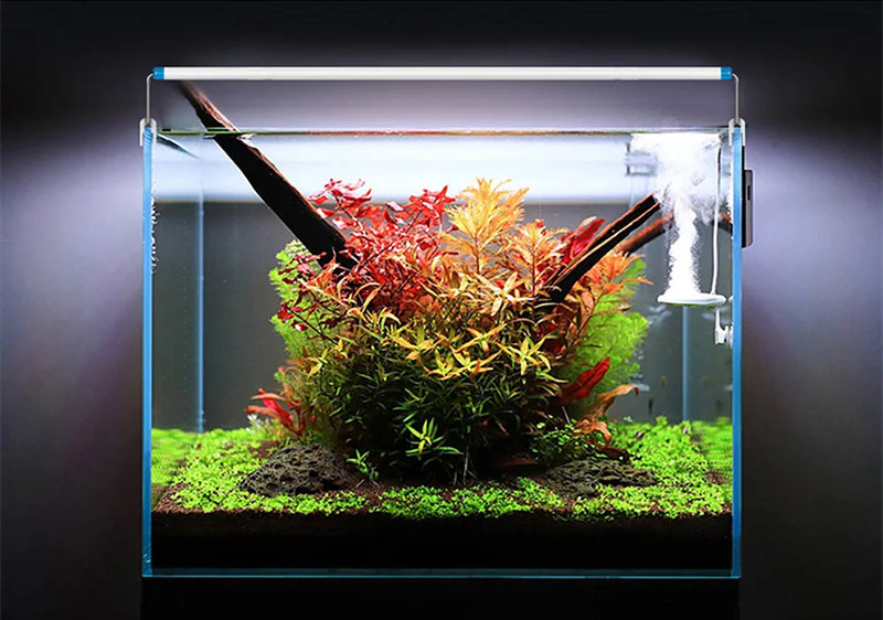 Lumière LED pour Aquarium à Clip Réglable