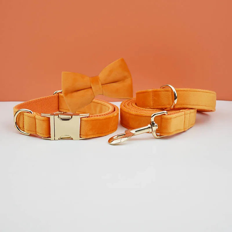 Set de collar y arnés para perro de terciopelo naranja con lazo a juego.