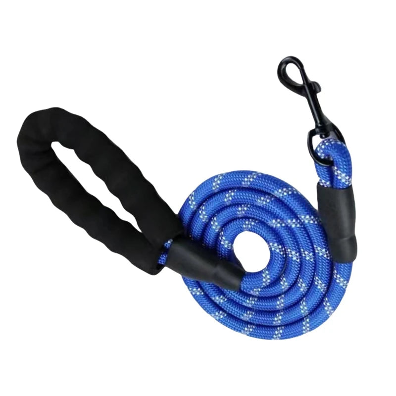 A blue reflective dog leash with a black padded handle and adjustable strap coiled for use.