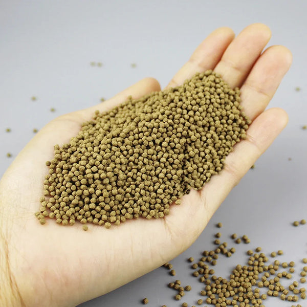 A hand holds a pile of green spirulina floating fish food pellets on a gray background.