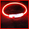 USB-aufladbarer LED-Hundehalsband