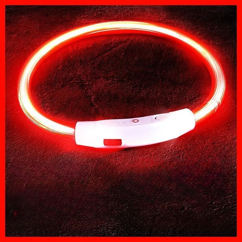 USB-aufladbarer LED-Hundehalsband