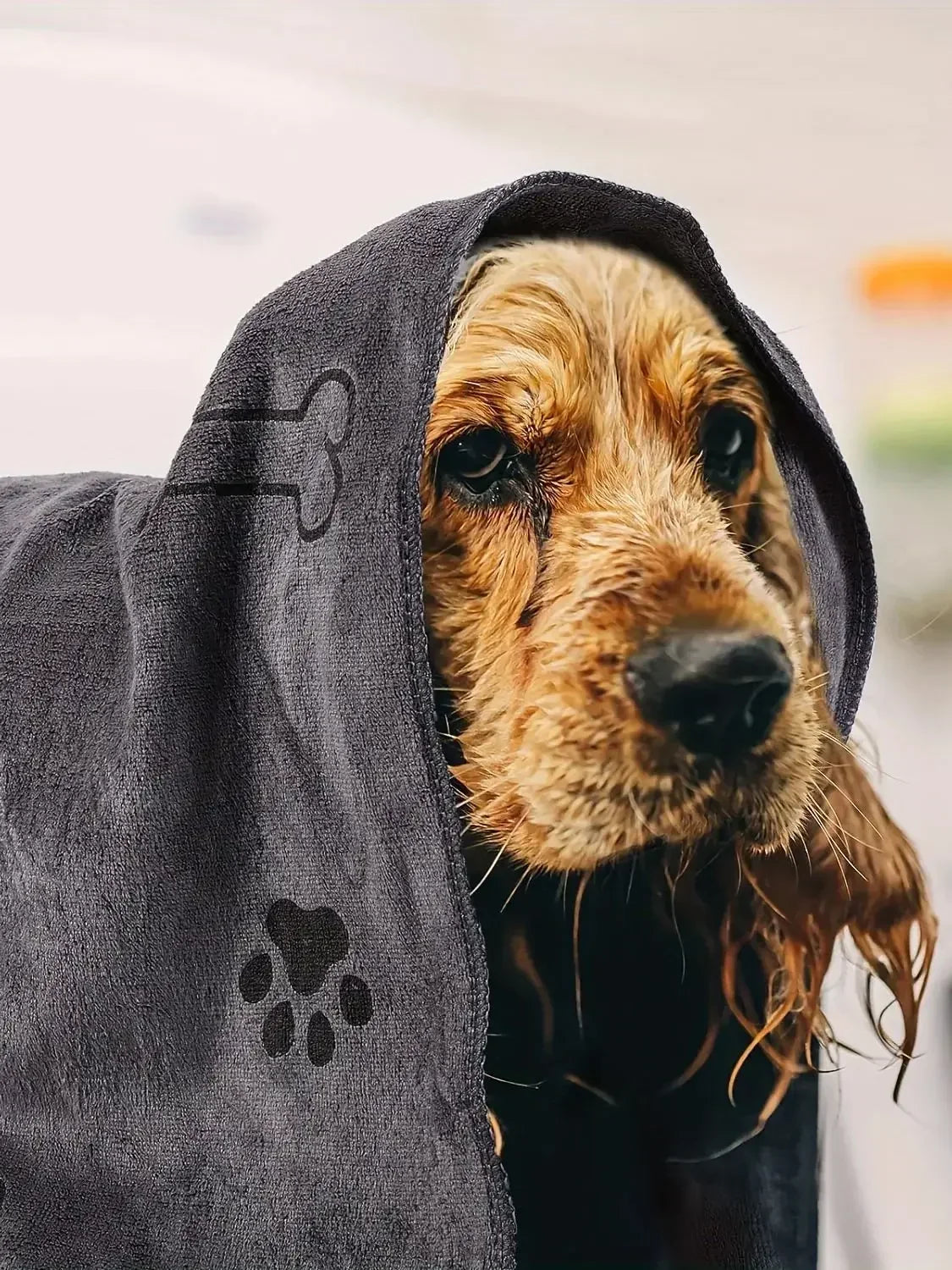 Ultra-Soft Quick-Dry Pet Bath Towel for Dogs and Cats