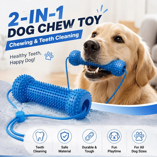 A golden retriever is happily chewing a blue dental cleaning toy rope for teeth cleaning and playtime.
