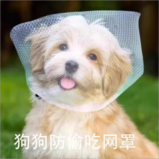 Breathable Star Tulle Dog Muzzle Cover for Outdoor Walks