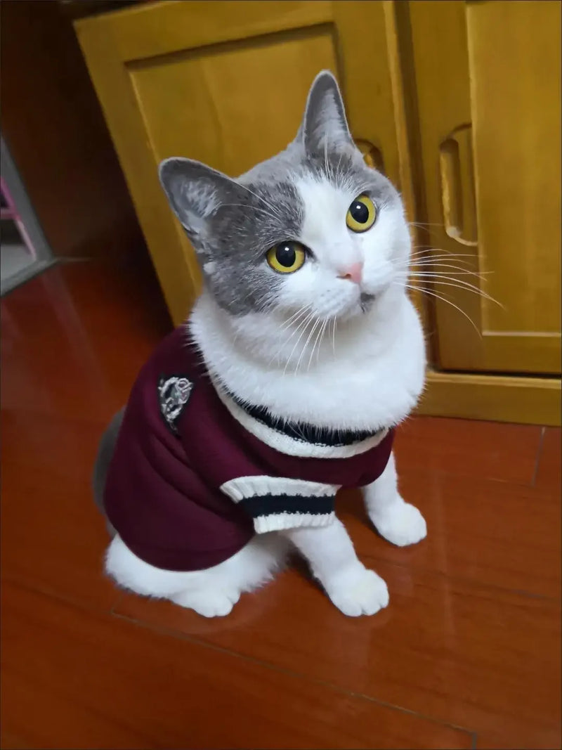 Suéter de Punto Acogedor para Mascotas