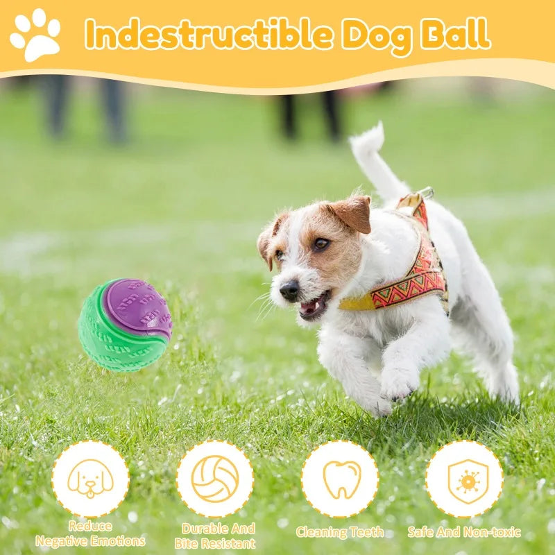 Squeaky Dog Balls (6-Pack) – Durable TPR Chew Toys for Interactive Play