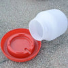 Automatic Chicken Feeder and Waterer Fountain