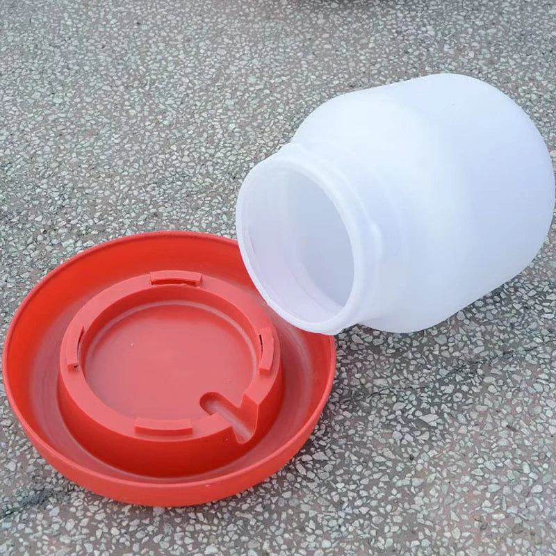 Automatic Chicken Feeder and Waterer Fountain