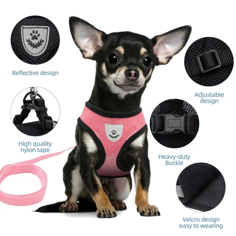 A black dog wearing a pink adjustable harness and leash set with various components shown around it.
