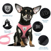 A black dog wearing a pink adjustable harness and leash set with various components shown.