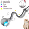 Interactive Rolling Cat Toy with Faux Tail