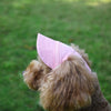 Gorra de Béisbol Ajustable para Perros