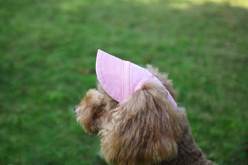 Gorra de Béisbol Ajustable para Perros