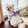 Breathable Anti-Shedding Summer Dress for Cats and Small Dogs