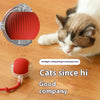 Cat Interactive Ball Toy for Kitten
