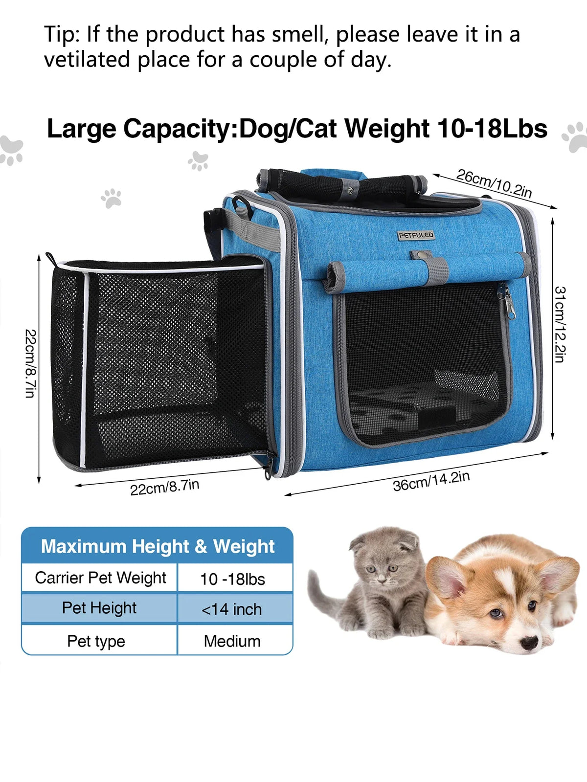 Sac à dos de transport pour animaux bleu, extensible, avec côtés en maille et bretelles rembourrées, à côté d'un chaton et d'