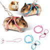 Adjustable Small Pet Harness with Anti-Bite Leash