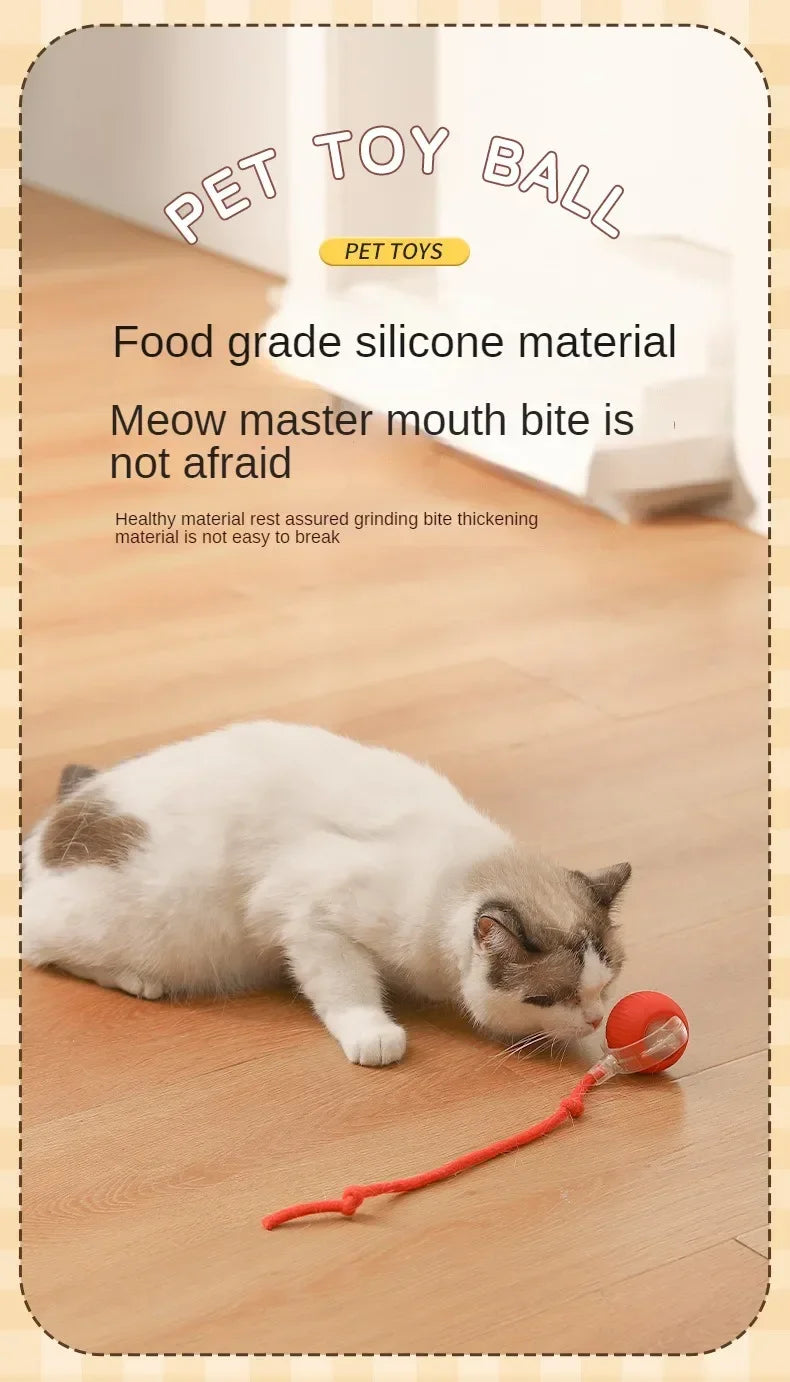 Interactive Automatic Rolling Cat Toy with Tail