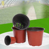 Plastic Plant Nursery Pots with Drainage Holes (Set of 10)