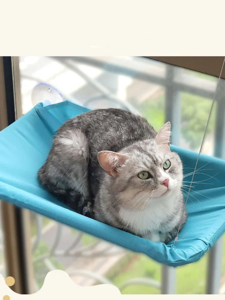 Hamac pour chat à monter sur fenêtre avec structure d'escalade