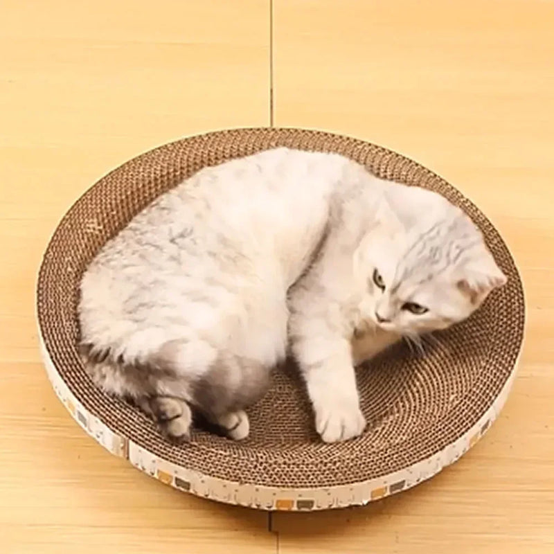 Lit Grattoir en Forme de Bol pour Chat