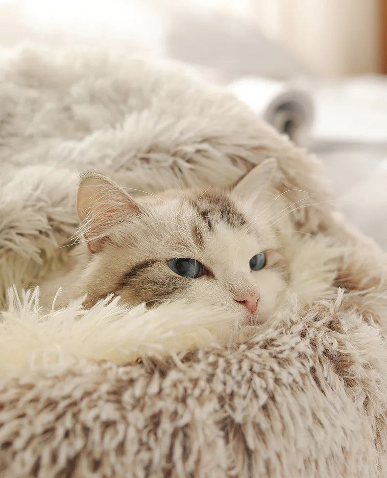 Lit Semi-Ouvert en Peluche pour Chats et Chiens