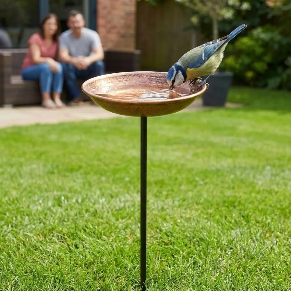 Rustic Iron Bird Feeder with Wide-Mouth Water Basin