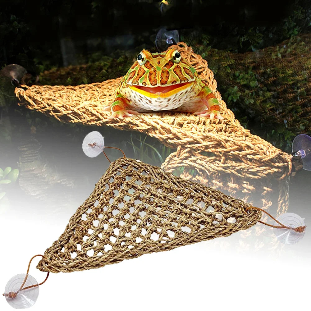 Natural Seaweed Reptile Hammock with Suction Cups