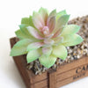 A light green and pink flocked artificial succulent plant in a wooden box.